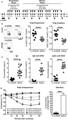 IL-2-Agonist-Induced IFN-γ Exacerbates Systemic Anaphylaxis in Food Allergen-Sensitized Mice